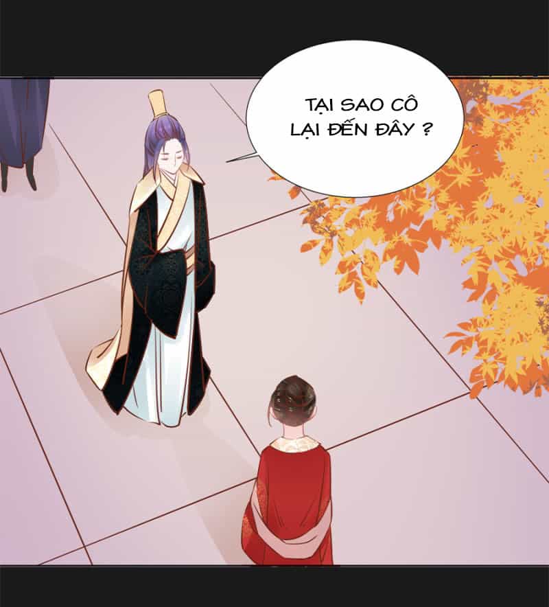 Solo Đi Vương Gia - Chương 79 - ảnh 10