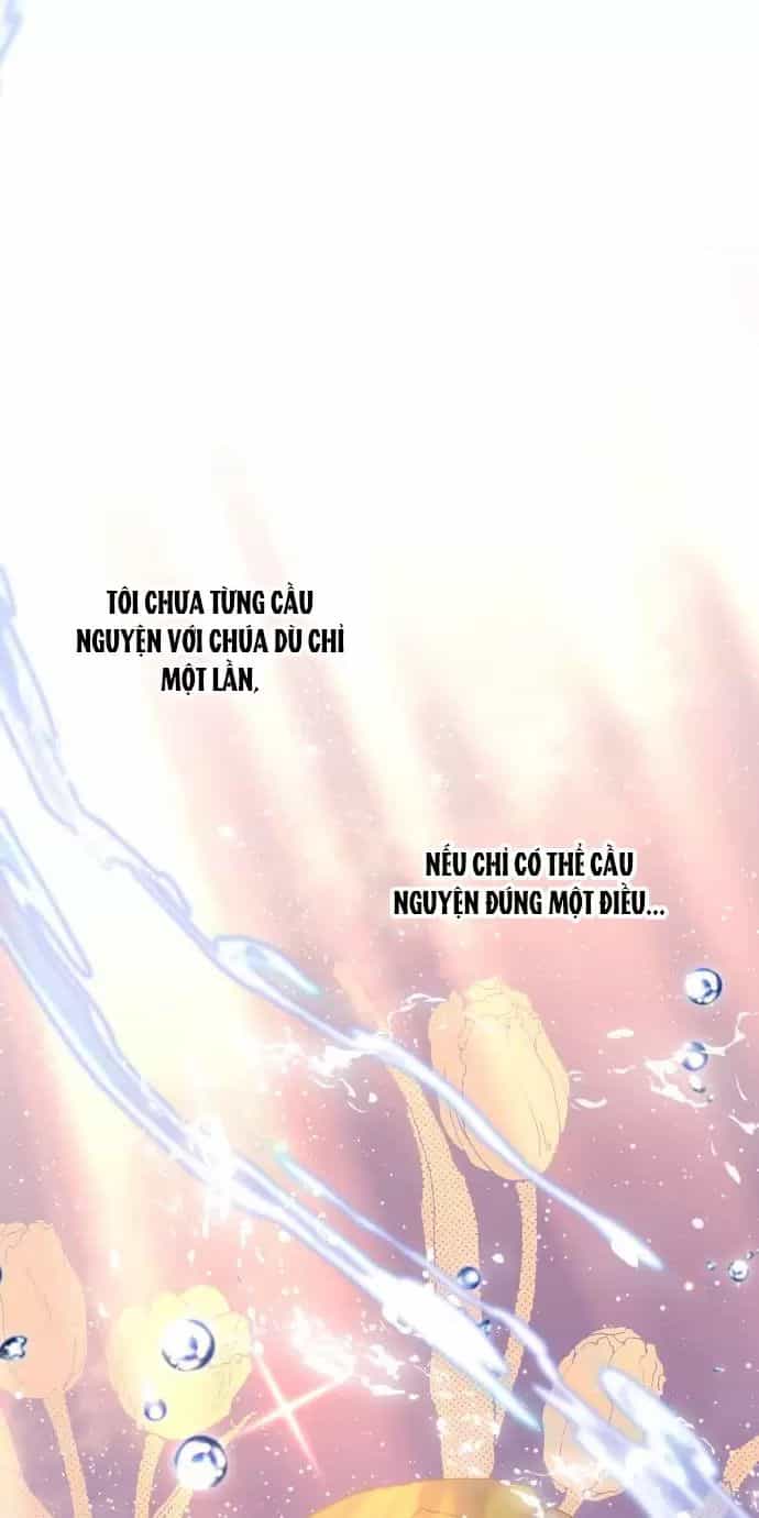 Sống Trong Vườn Hoa Của Công Chúa - Chương 1 - ảnh 81