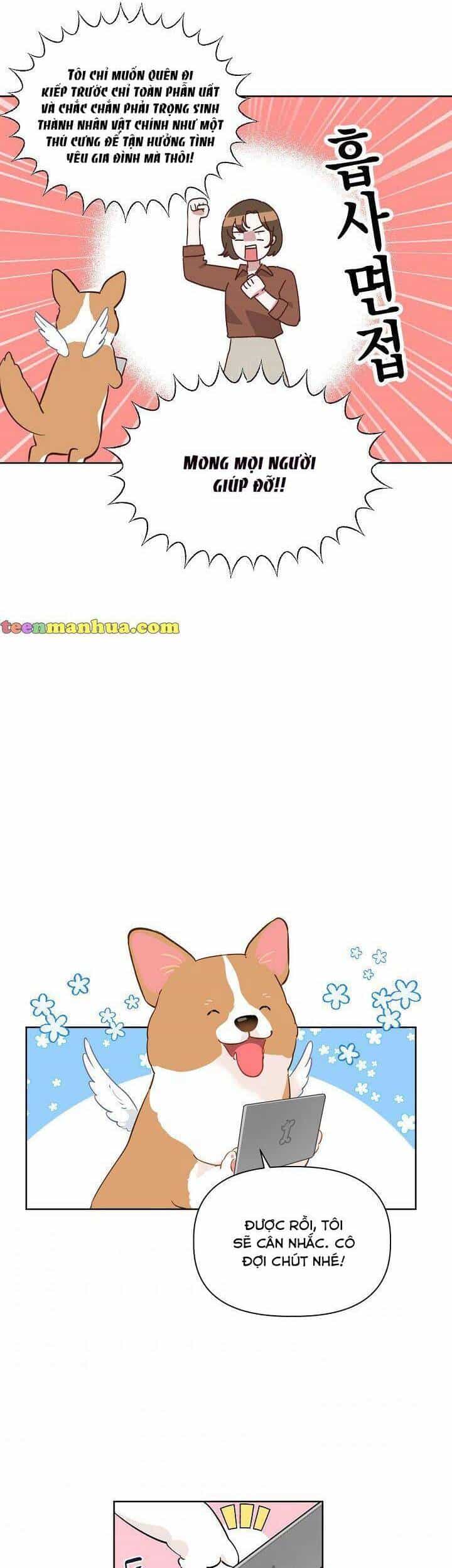 Sự Điều Trị Đặc Biệt Của Tinh Linh - Chương 1 - ảnh 29