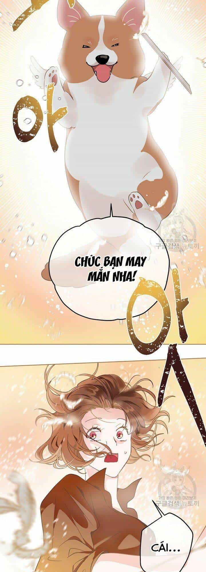 Sự Điều Trị Đặc Biệt Của Tinh Linh - Chương 1 - ảnh 51