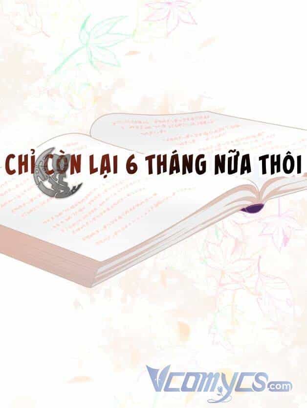 Sự Điều Trị Đặc Biệt Của Tinh Linh - Chương 50 - ảnh 72