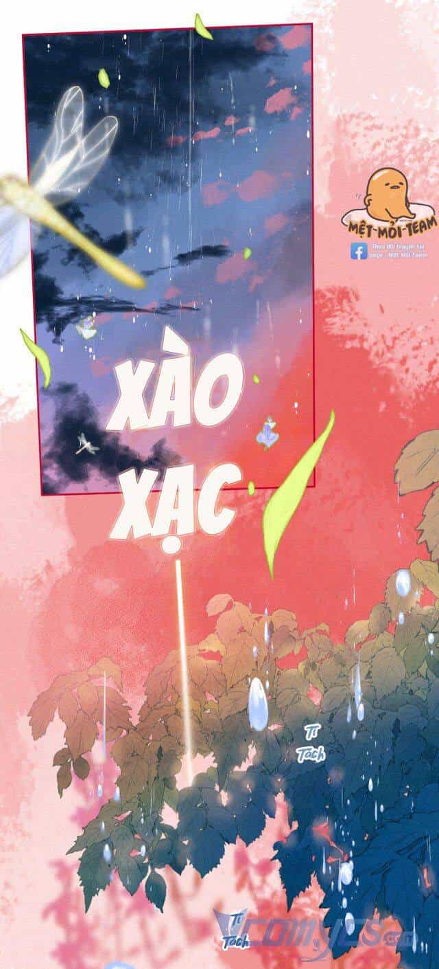 Sự Gai Góc Dịu Dàng - Chương 6 - ảnh 42