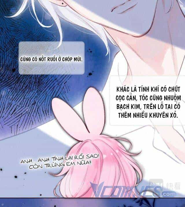 Sự Gai Góc Dịu Dàng - Chương 2 - ảnh 32