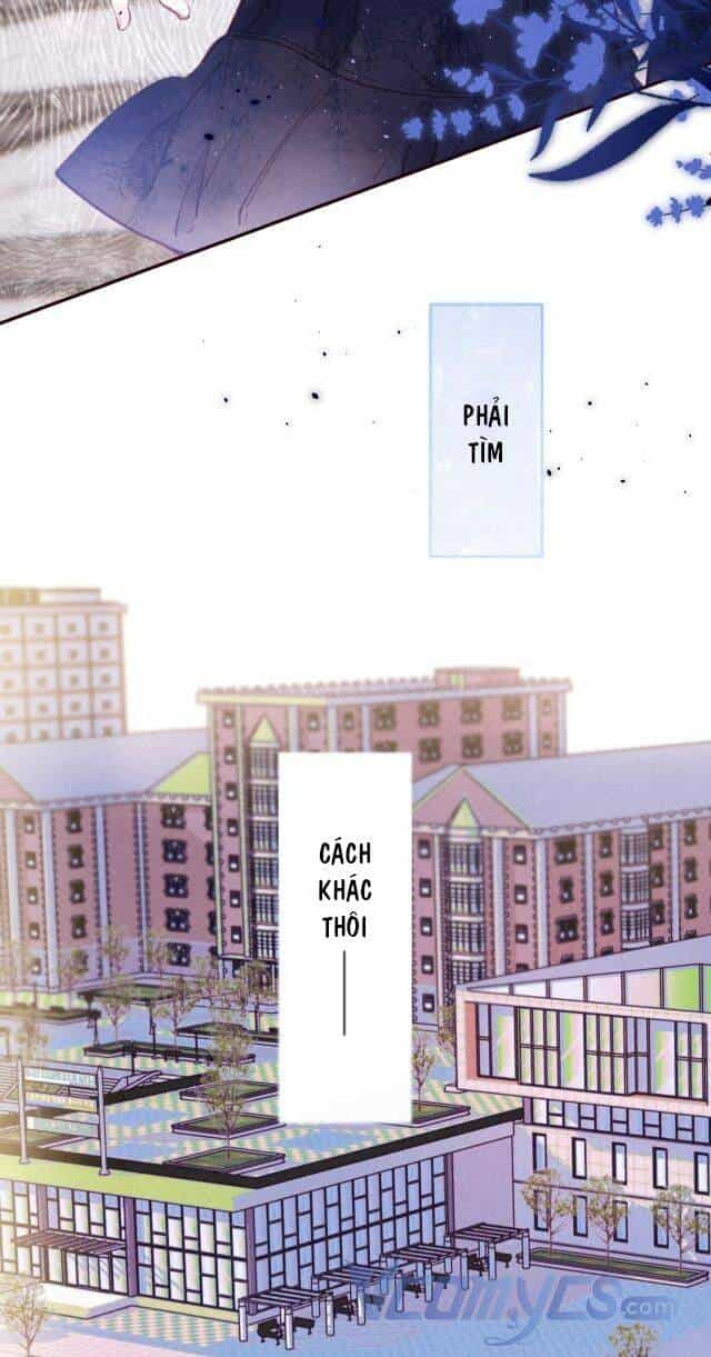 Sự Gai Góc Dịu Dàng - Chương 2 - ảnh 34