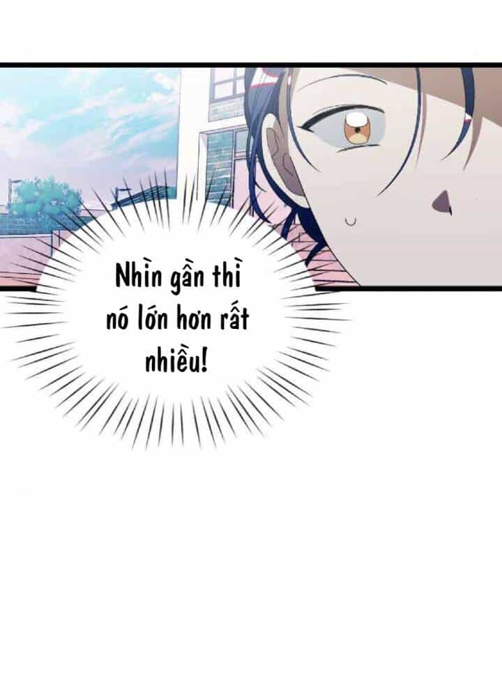 Sự Lãng Mạn Còn Tồn Tại - Chương 34 - ảnh 47
