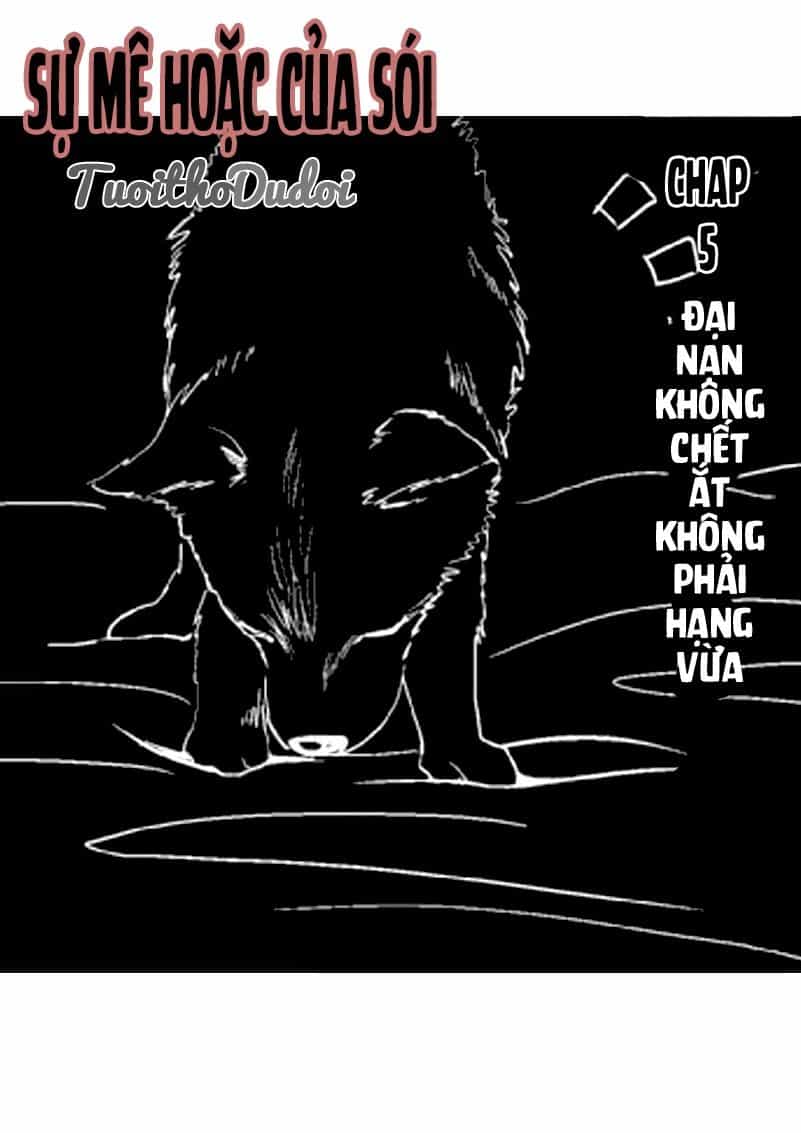 Sự Mê Hoặc Của Sói - Chương 5 - ảnh 2