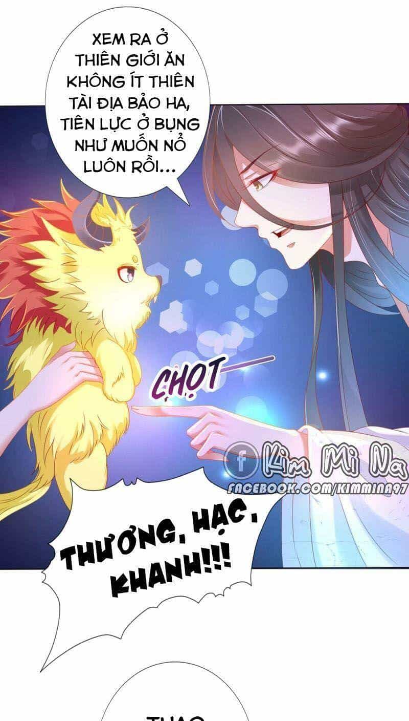 Sư Phụ, Cái Kia Ăn Ngon! - Chương 99 - ảnh 32