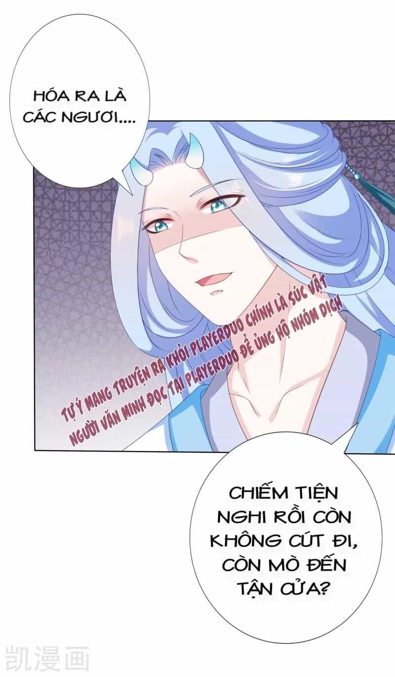 Sư Phụ, Cái Kia Ăn Ngon! - Chương 43 - ảnh 15