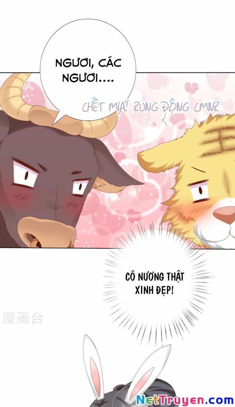 Sư Phụ, Cái Kia Ăn Ngon! - Chương 64 - ảnh 21