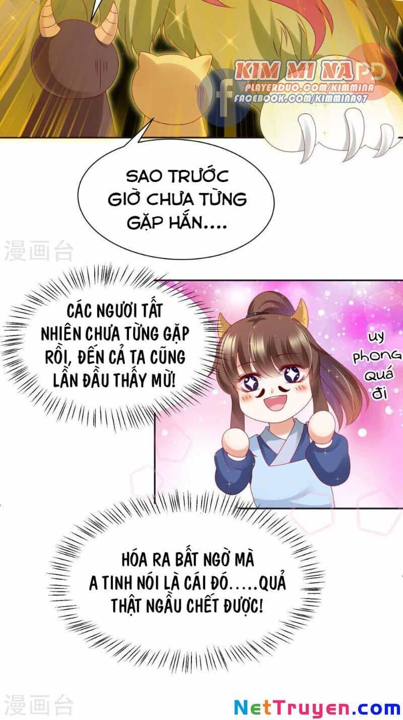 Sư Phụ, Cái Kia Ăn Ngon! - Chương 70 - ảnh 9
