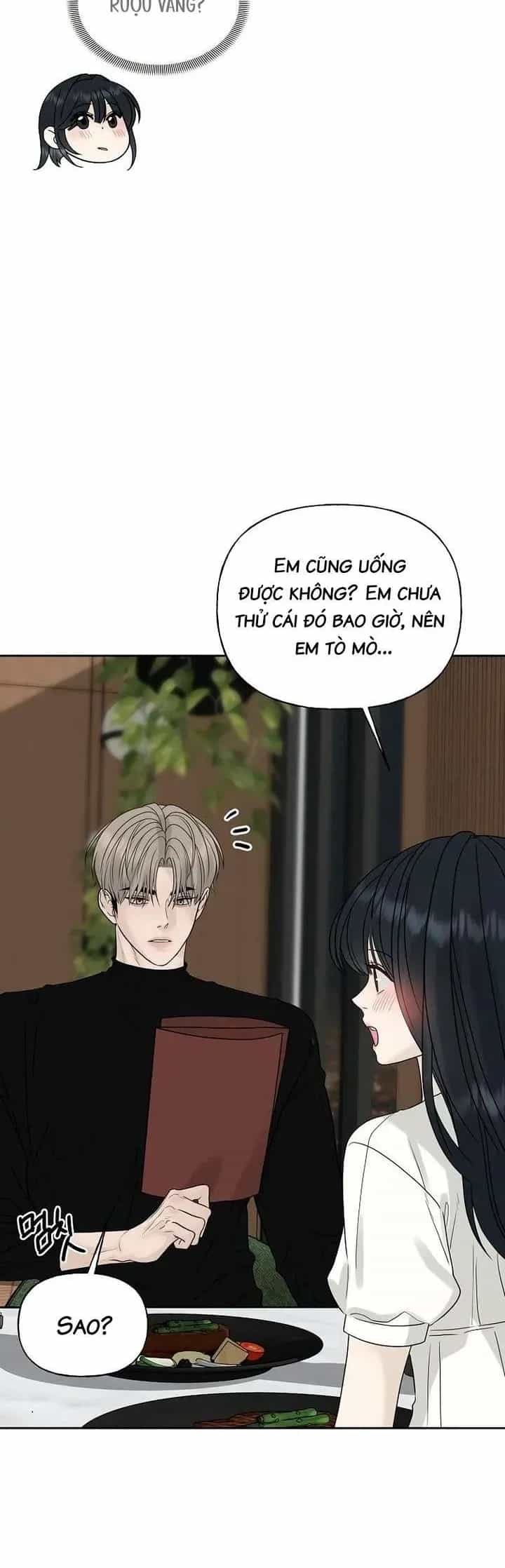 Sự Thâm Nhập Dịu Dàng - Chương 16 - ảnh 20