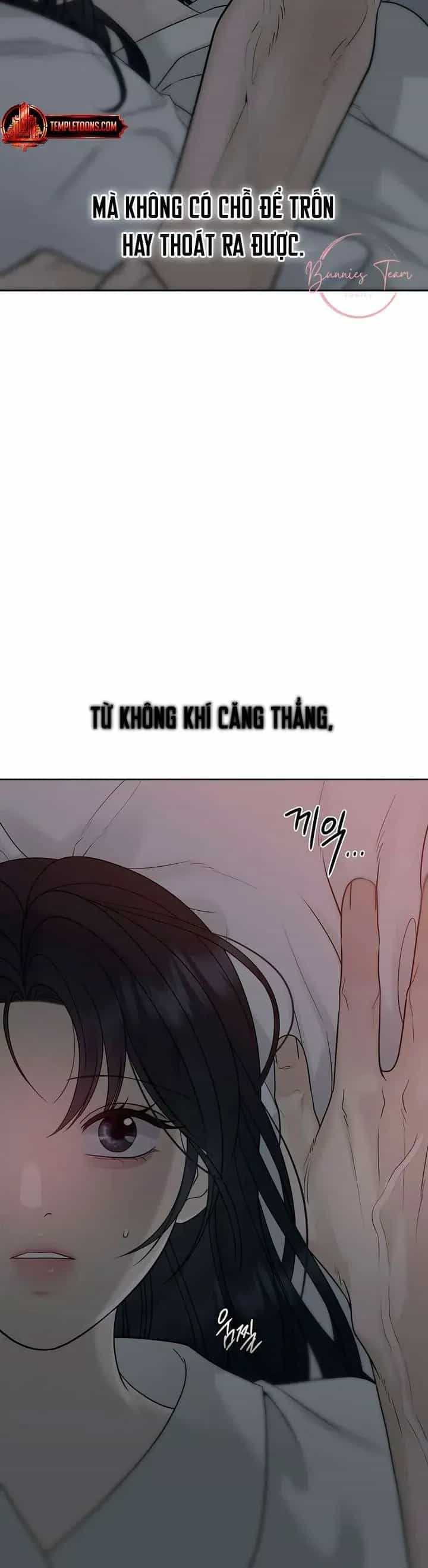 Sự Thâm Nhập Dịu Dàng - Chương 19 - ảnh 4