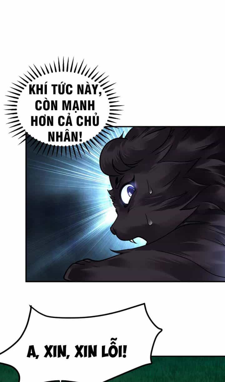 Sư Tổ Của Ta Là Thiên Hạ Đệ Nhất - Chương 19 - ảnh 31