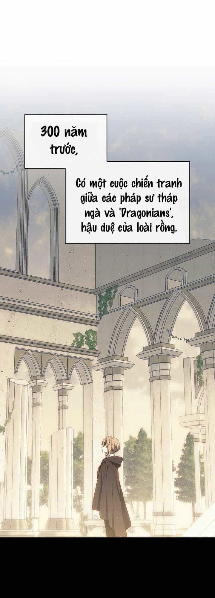 Sự Trở Lại Của Pháp Sư Cấp 8 - Chương 13 - ảnh 10