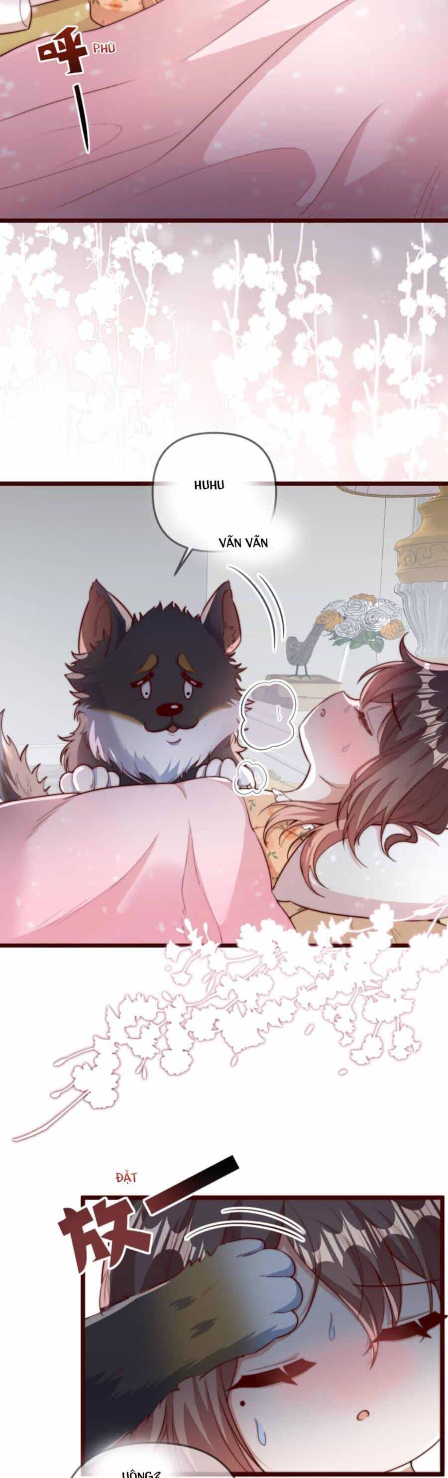 Sủng Bé Cá Koi 3 Tuổi Rưỡi - Chương 115 - ảnh 5
