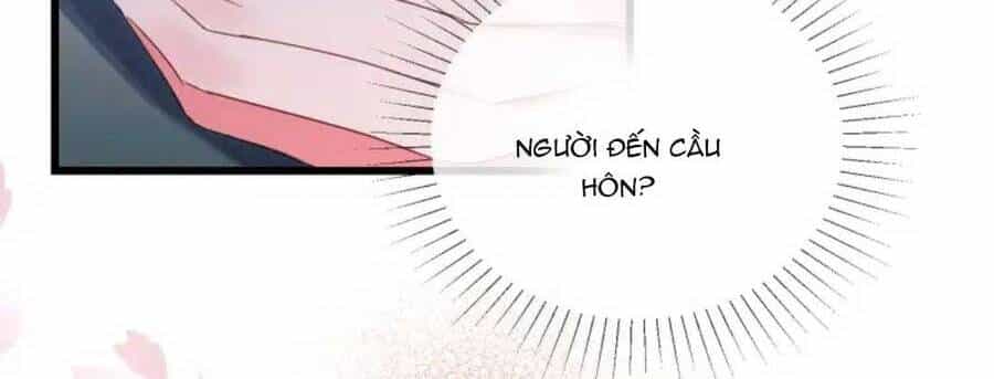 Sủng Em Đến Tận Trời - Chương 14 - ảnh 14