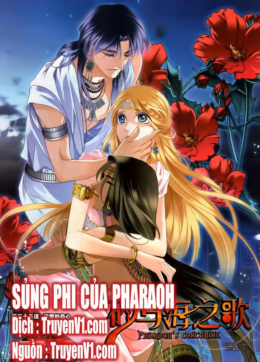 Sủng Phi Của Pharaoh - Chương 56 - ảnh 1