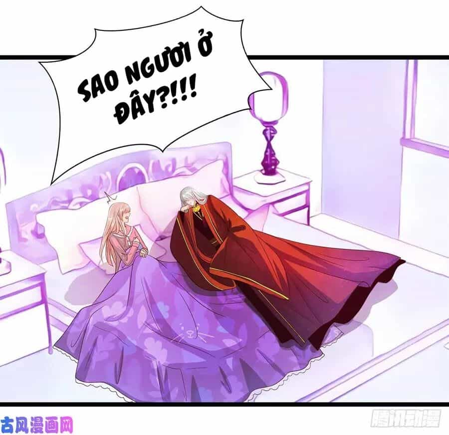Sủng Thê Cuồng Ma Của Minh Vương Điện Hạ - Chương 4 - ảnh 27