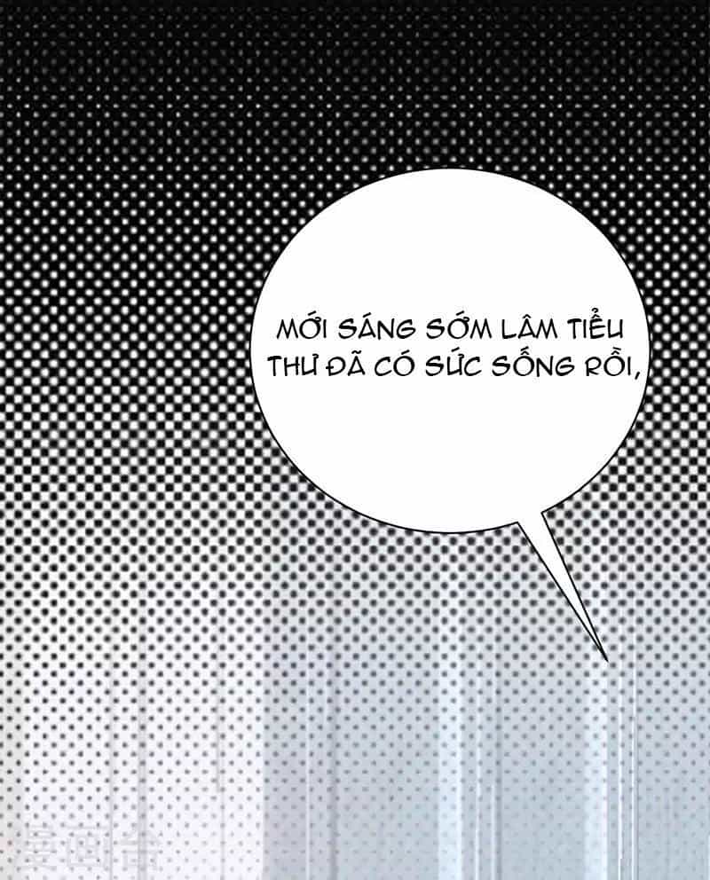 Sủng Thê Thành Nghiện: Lục Thiếu Sủng Từ Đáy Lòng - Chương 24 - ảnh 8