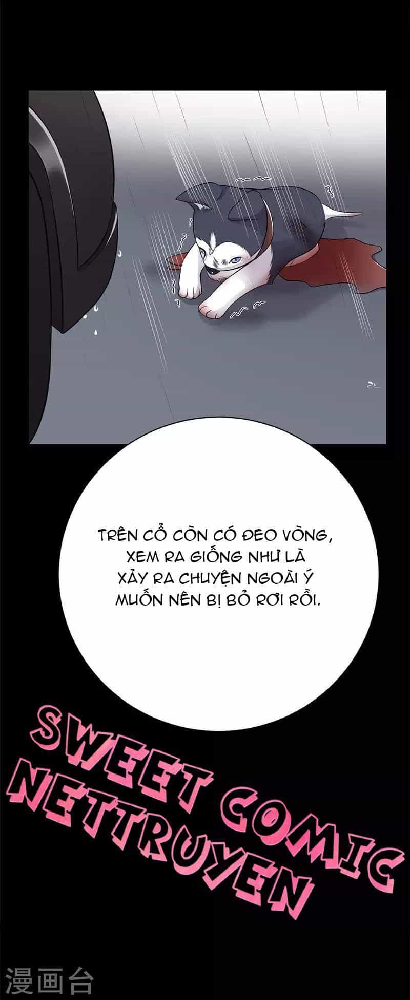 Sủng Thê Thành Nghiện: Lục Thiếu Sủng Từ Đáy Lòng - Chương 27 - ảnh 2