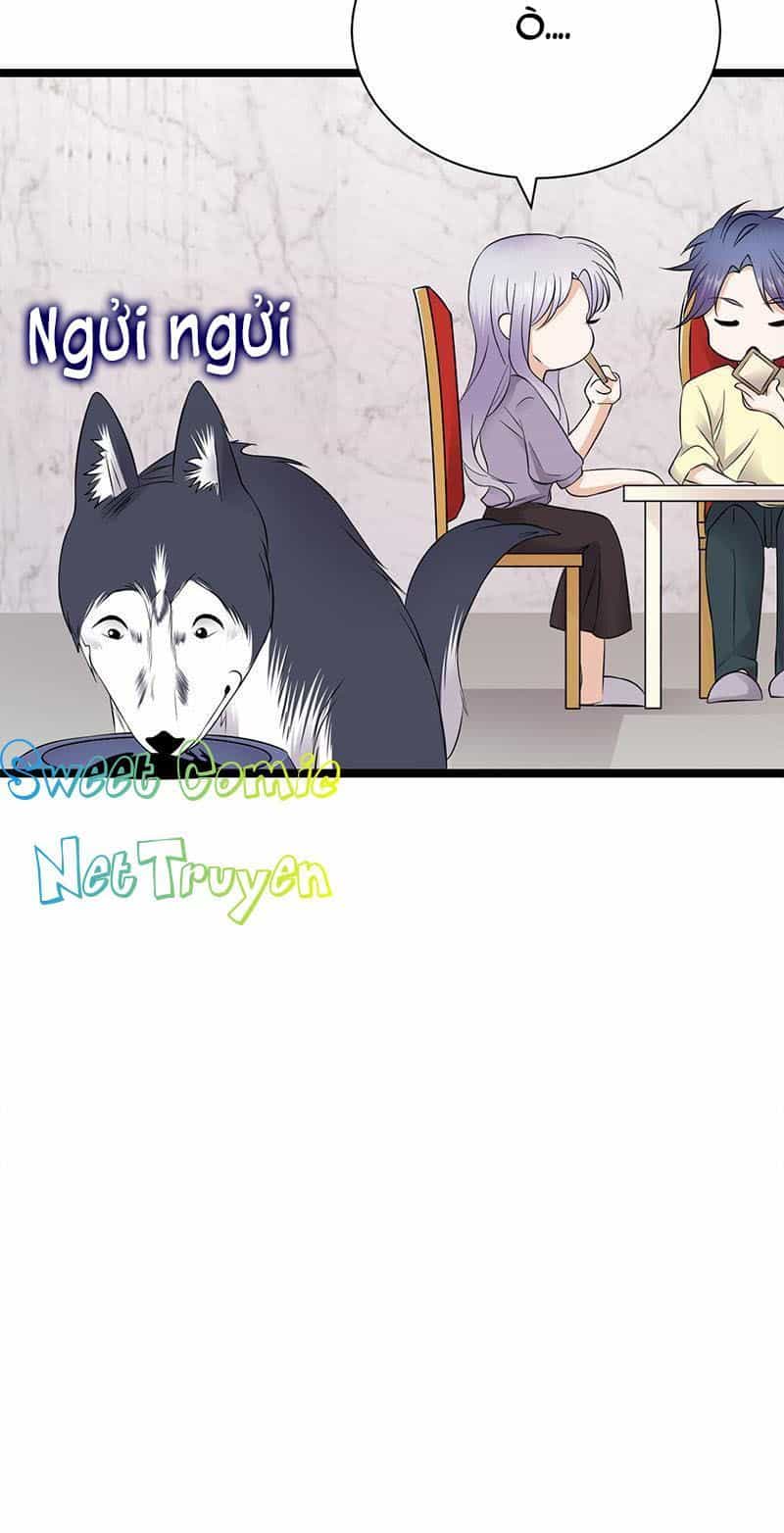 Sủng Thê Thành Nghiện: Lục Thiếu Sủng Từ Đáy Lòng - Chương 72 - ảnh 22