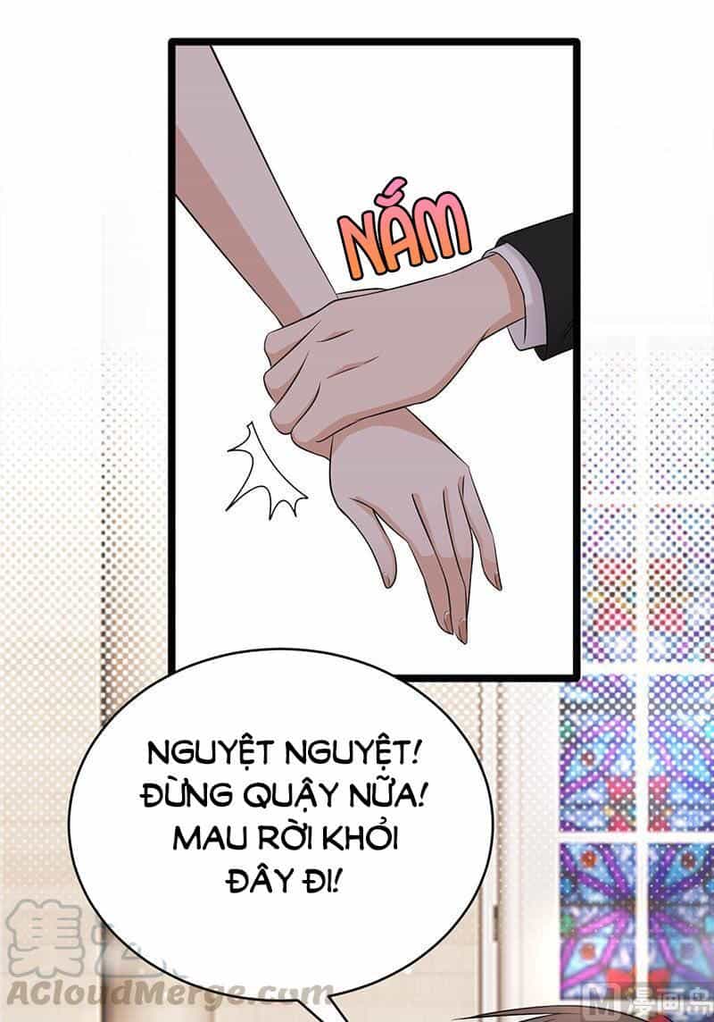 Sủng Thê Thành Nghiện: Lục Thiếu Sủng Từ Đáy Lòng - Chương 89 - ảnh 15
