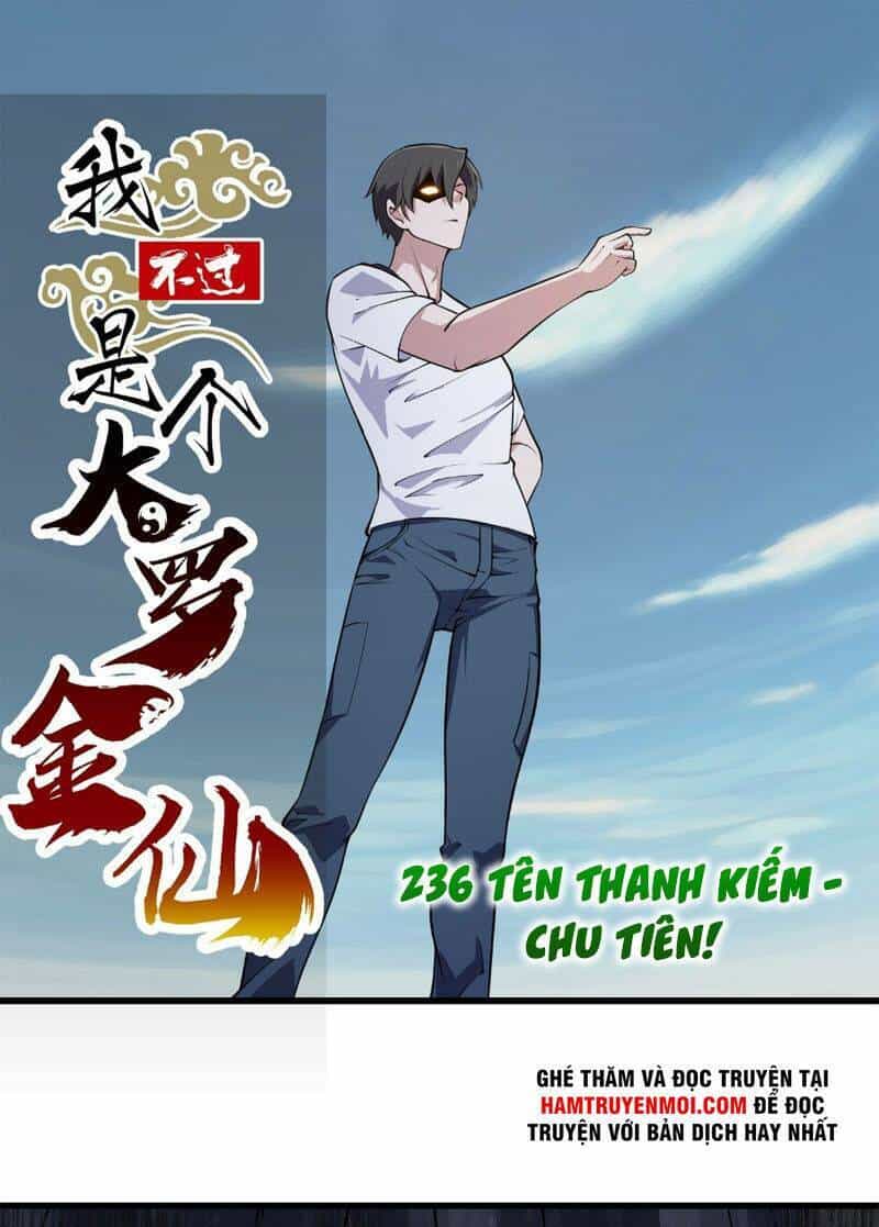 Ta Chẳng Qua Là Một Đại La Kim Tiên - Chương 236 - ảnh 1