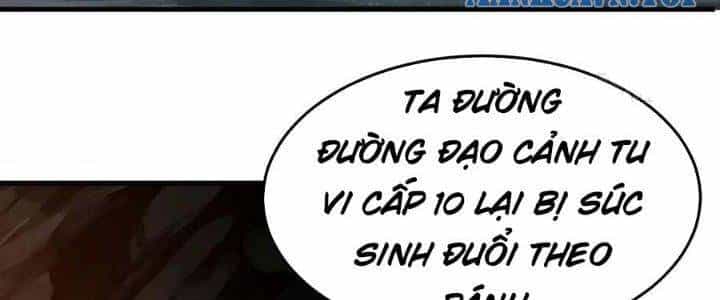Ta Chỉ Muốn Bị Các Vị Đánh Chết - Chương 69 - ảnh 3