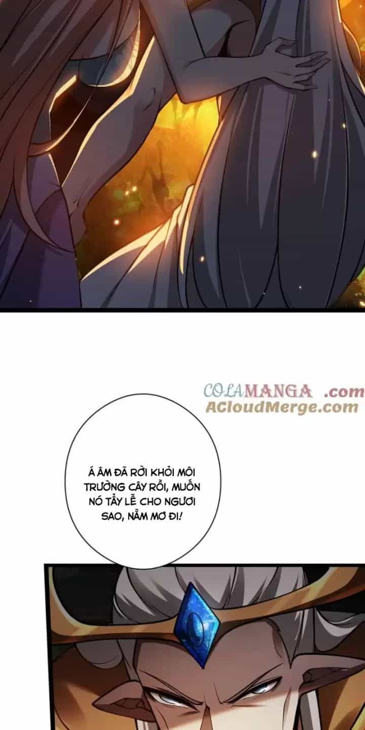 Ta, Chúa Tể Rừng Xanh - Chương 28 - ảnh 15