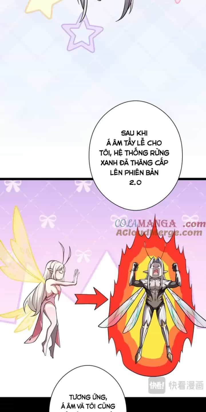 Ta, Chúa Tể Rừng Xanh - Chương 32 - ảnh 10