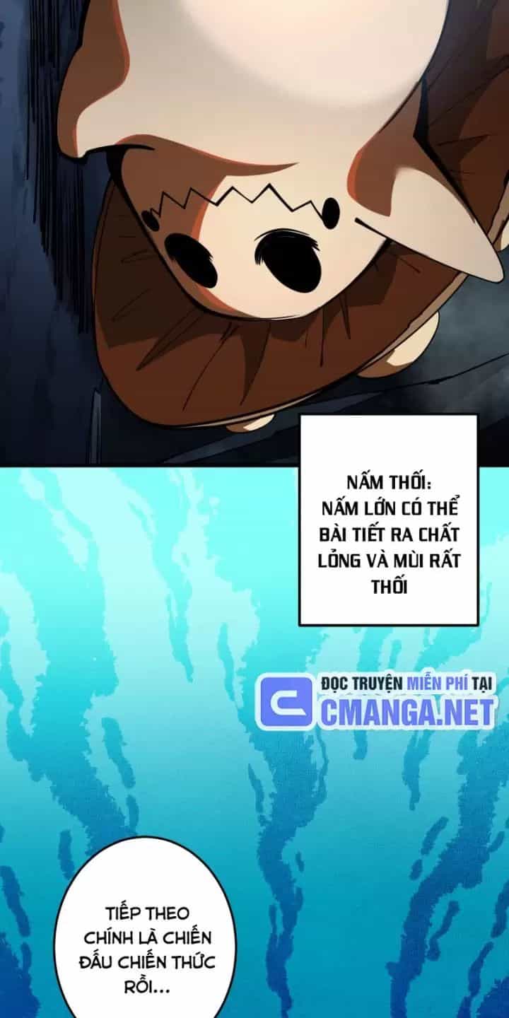 Ta, Chúa Tể Rừng Xanh - Chương 6 - ảnh 16