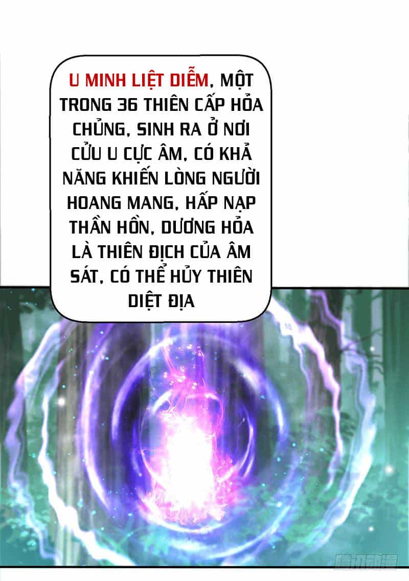 Ta Có Một Bộ Hỗn Độn Kinh - Chương 14 - ảnh 28