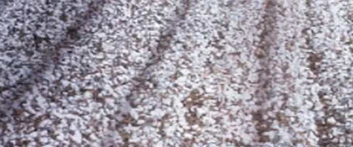 Ta Diệt Sát Chúng Thần - Chương 76 - ảnh 183