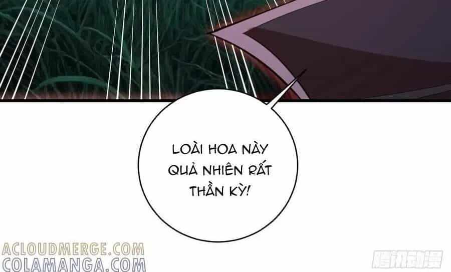 Ta Dựa Vào Hậu Cung Chinh Phục Thế Giới - Chương 69.1 - ảnh 22