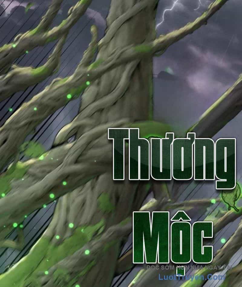 Ta Dựa Vào Hậu Cung Chinh Phục Thế Giới - Chương 85 - ảnh 52