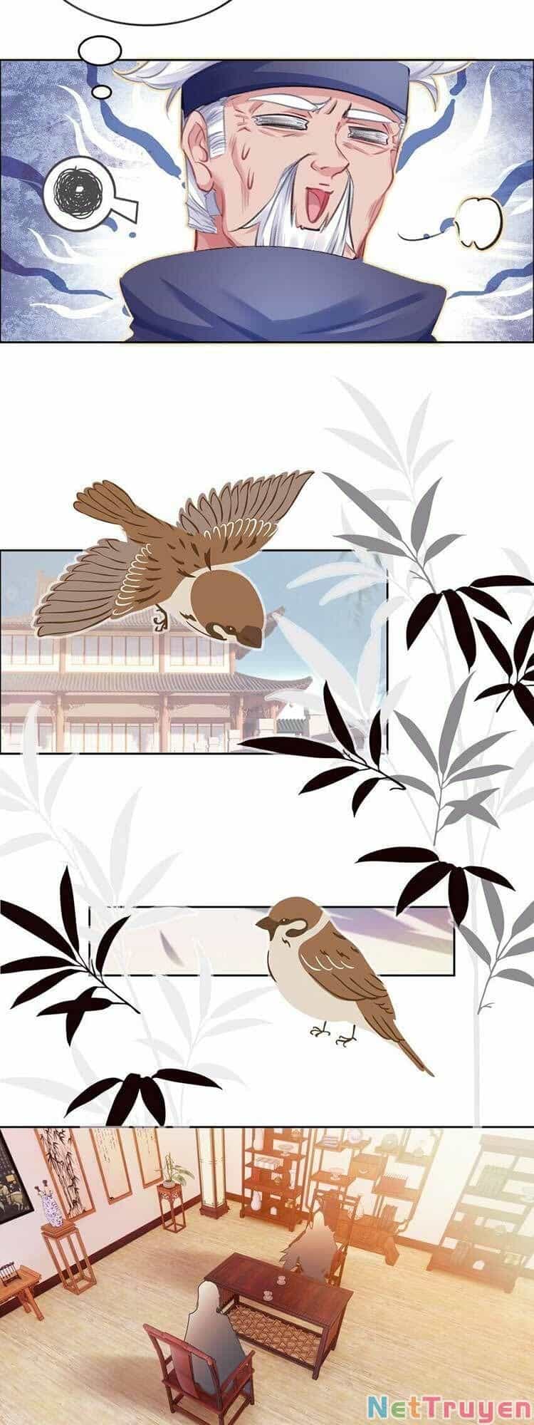 Ta Đúng Là Cao Thủ Tuyệt Thế - Chương 20 - ảnh 28