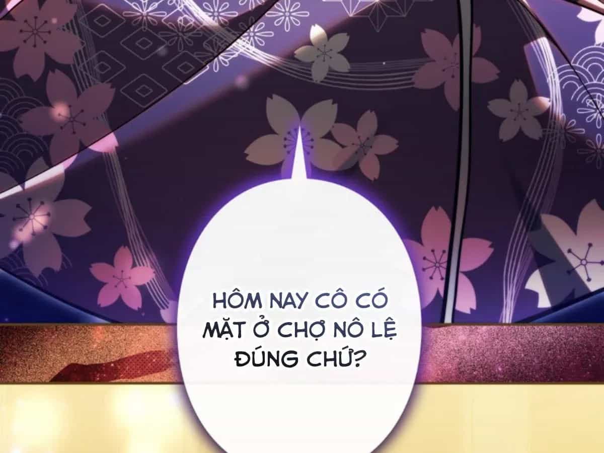 Ta Là Anh Hùng Nhưng Các Nữ Chính Lại Muốn Giết Ta - Chương 56 - ảnh 17