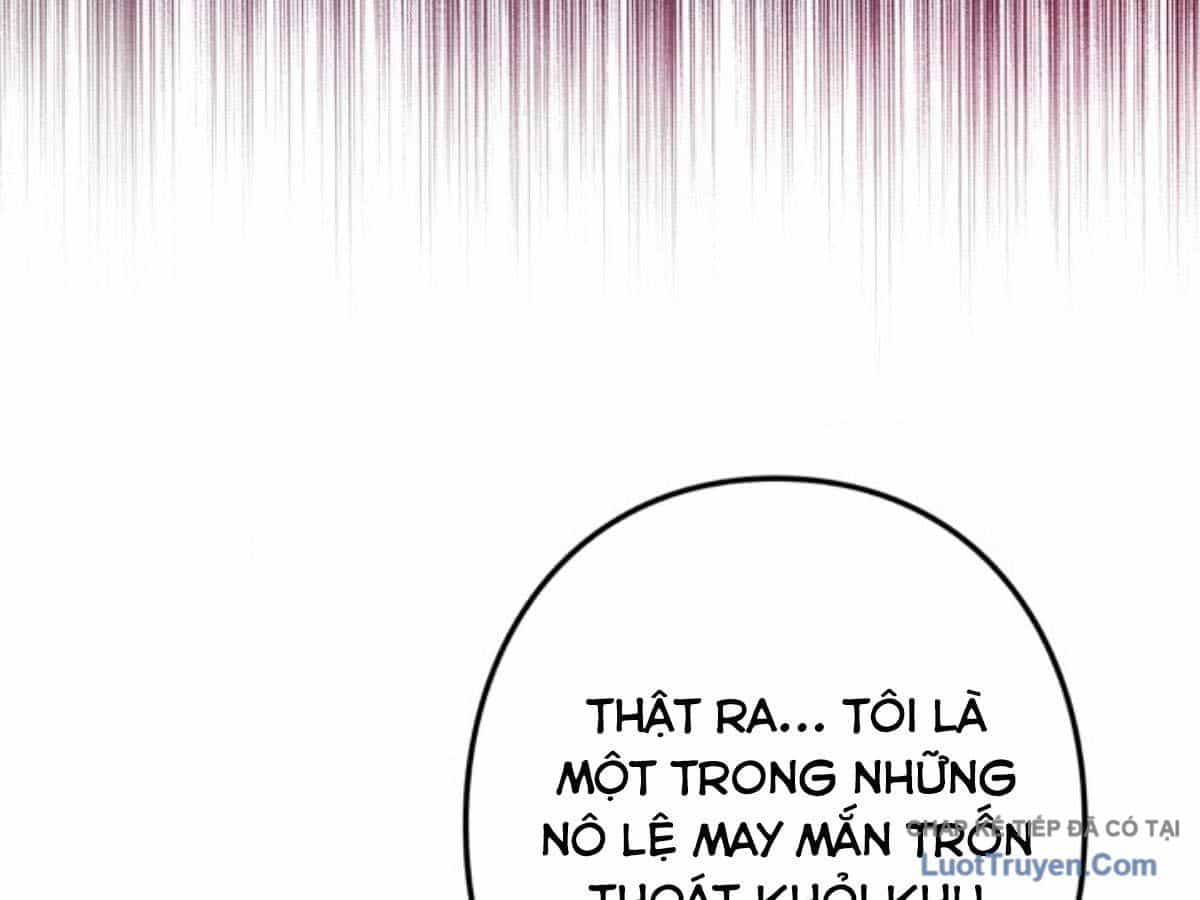 Ta Là Anh Hùng Nhưng Các Nữ Chính Lại Muốn Giết Ta - Chương 56 - ảnh 36