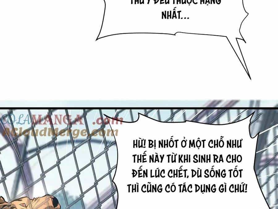 Ta Là Boss Mạnh - Chương 27 - ảnh 17