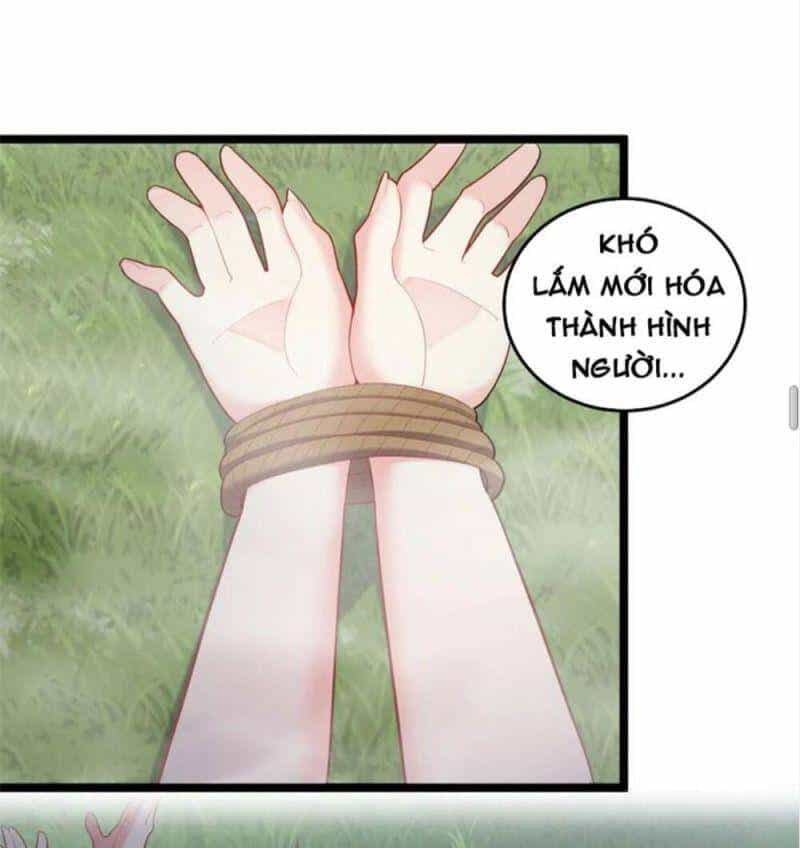 Ta Là Nhân Vật Phản Diện Đại Thiếu Gia - Chương 66 - ảnh 31