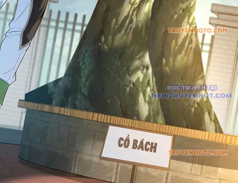Ta Là Tiên Tôn Thiên Giới Bị Mất Trí Nhớ - Chương 2 - ảnh 30
