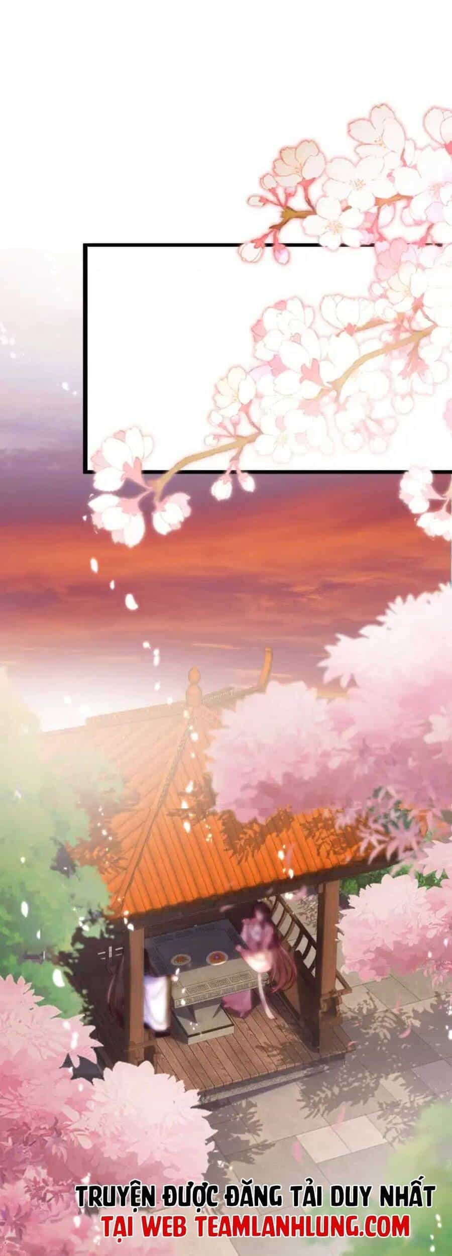 Ta Live Stream Ngược Đãi Nam Chính - Chương 6 - ảnh 2