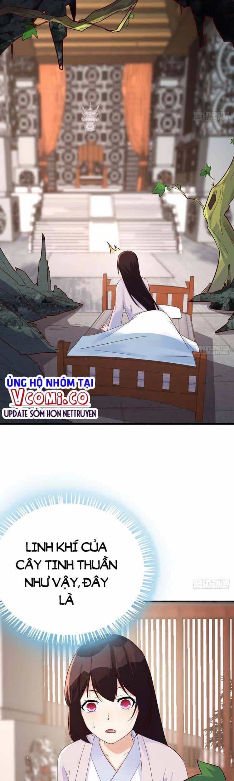 Ta Mắc Chứng Tu Luyện Trâu Bò - Chương 30 - ảnh 11