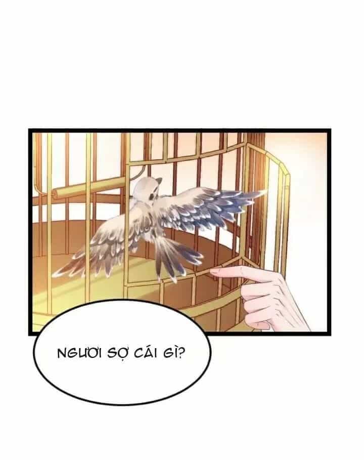 Ta Mới Không Gả Cho Hoàng Tử Phản Diện - Chương 11 - ảnh 9