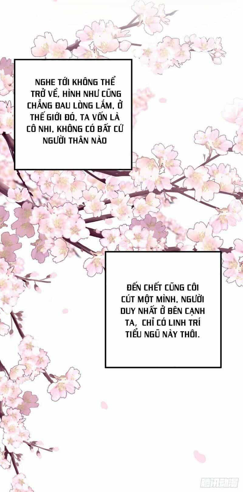 Ta Ở Dị Giới Nuôi Dưỡng Nam Thần: Thần Y Cửu Tiểu Thư - Chương 14 - ảnh 18