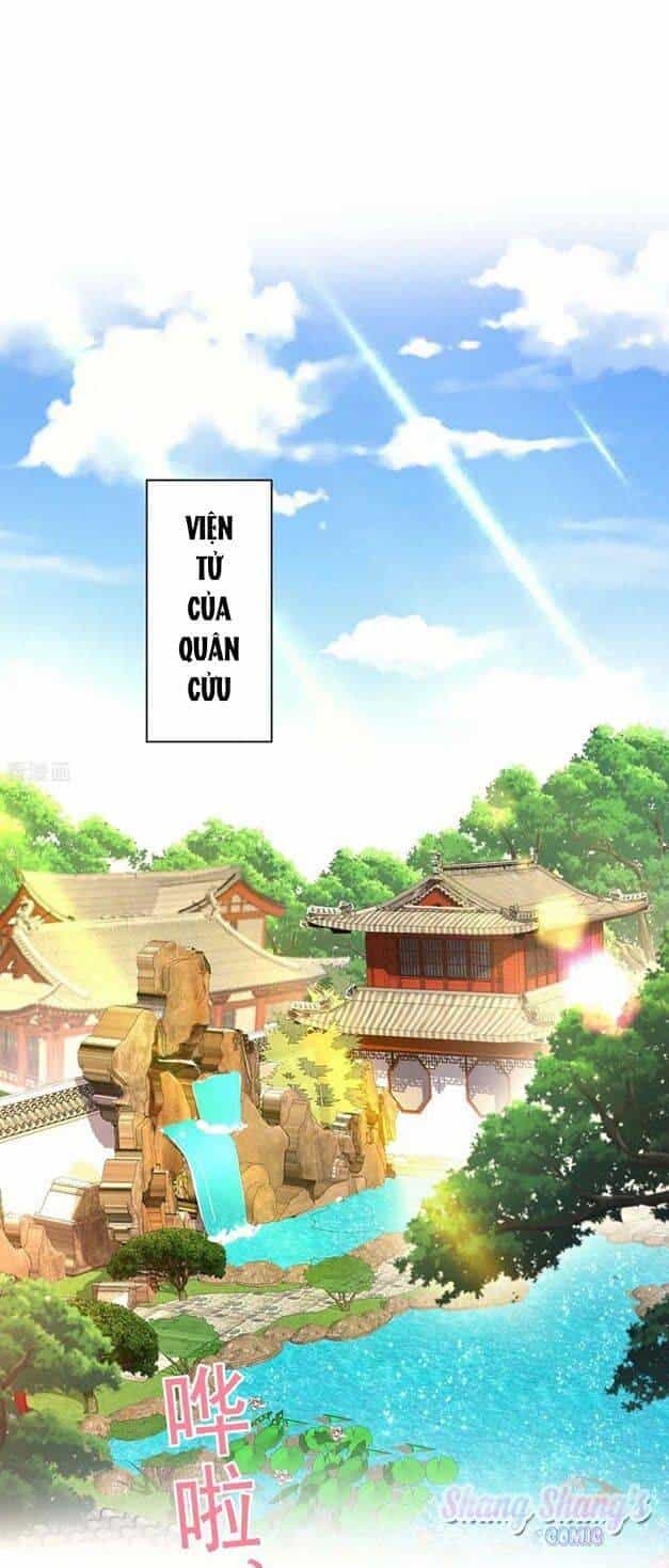 Ta Ở Dị Giới Nuôi Dưỡng Nam Thần: Thần Y Cửu Tiểu Thư - Chương 151 - ảnh 2