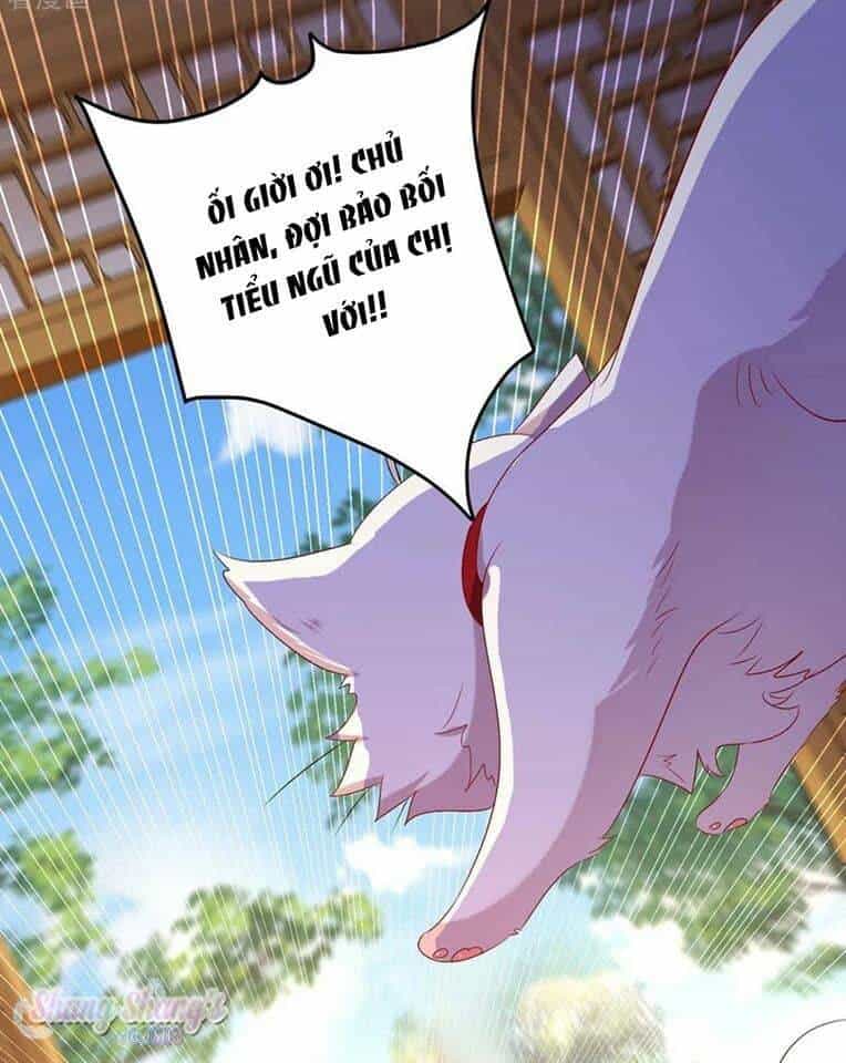 Ta Ở Dị Giới Nuôi Dưỡng Nam Thần: Thần Y Cửu Tiểu Thư - Chương 152 - ảnh 14