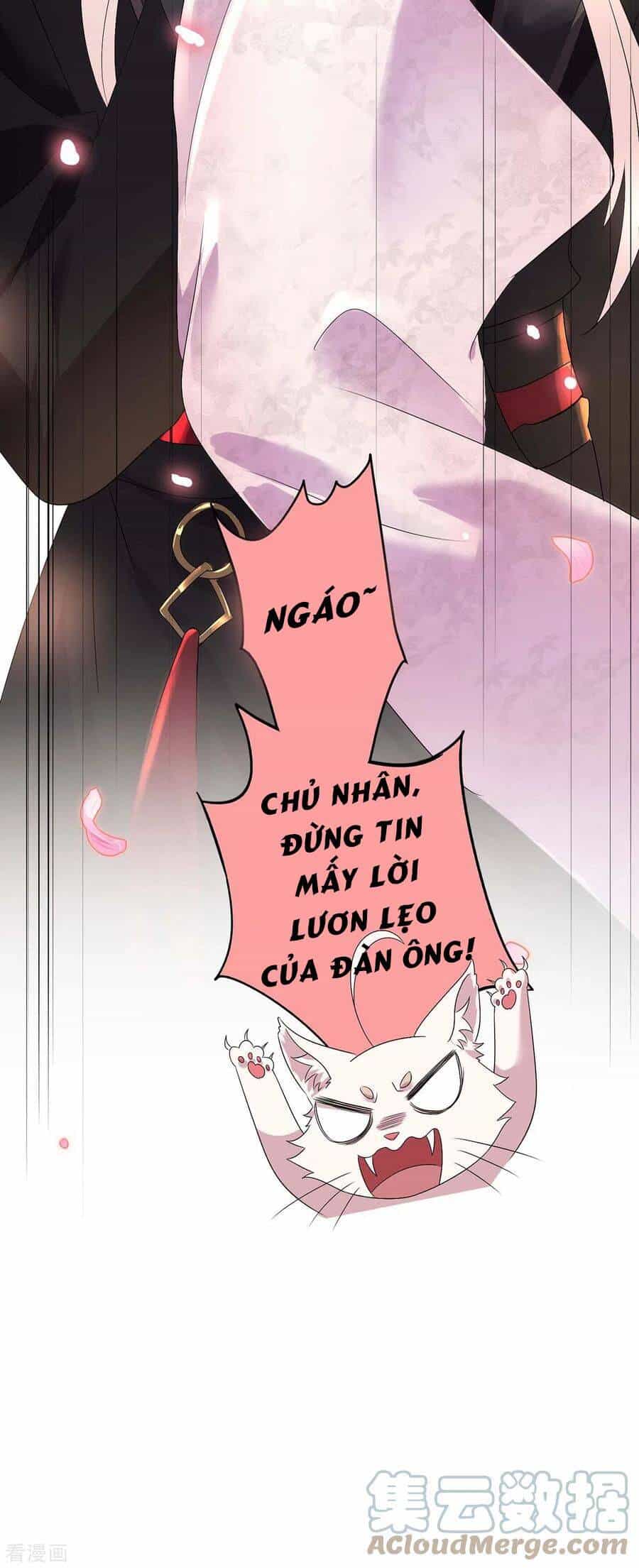 Ta Ở Dị Giới Nuôi Dưỡng Nam Thần: Thần Y Cửu Tiểu Thư - Chương 156 - ảnh 24