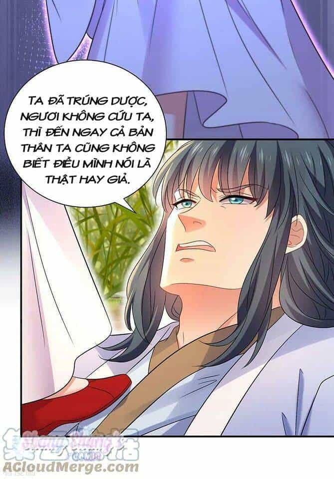 Ta Ở Dị Giới Nuôi Dưỡng Nam Thần: Thần Y Cửu Tiểu Thư - Chương 202 - ảnh 24