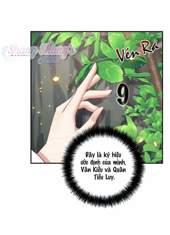 Ta Ở Dị Giới Nuôi Dưỡng Nam Thần: Thần Y Cửu Tiểu Thư - Chương 203 - ảnh 6